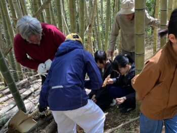 「のんびりひのわ」突然の終了宣告？