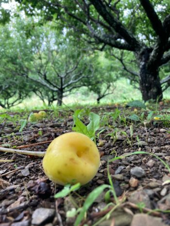 難易度の高いゲームの突破口