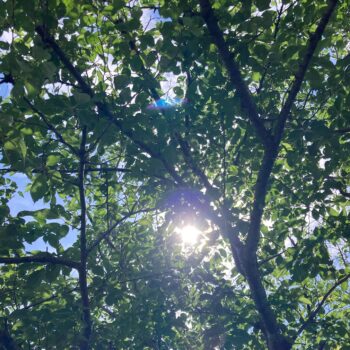 海を眺め、風を感じながらの社会科学習