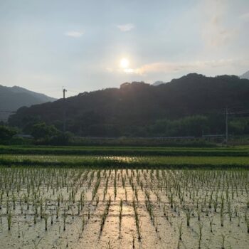 出席日数が認められるようになりました：延岡市