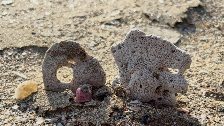 感じたものをお裾分け